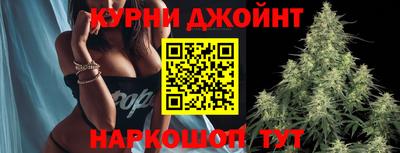стаф Кунгур