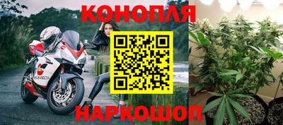стаф Кунгур